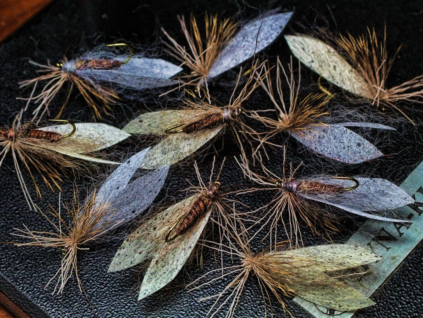 flies