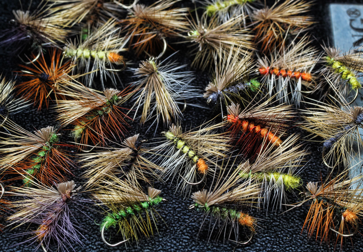 flies