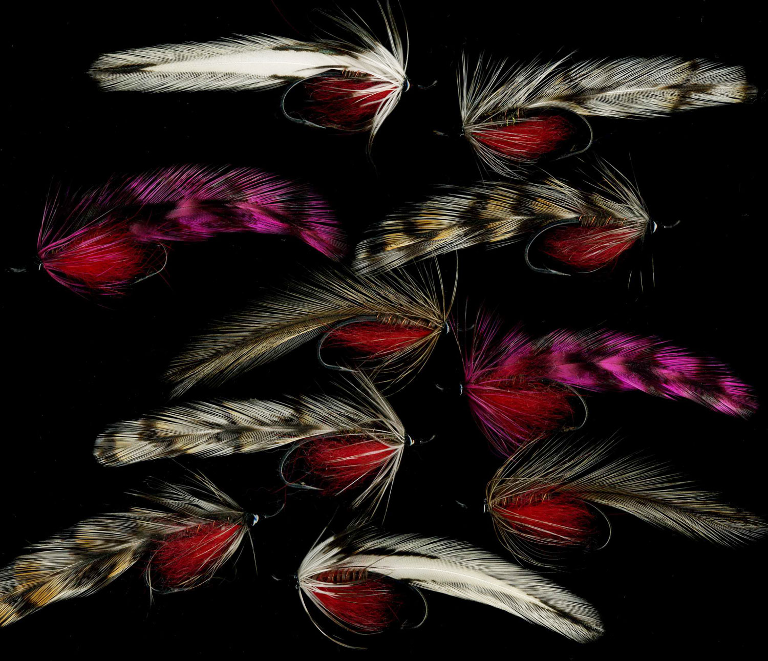 flies