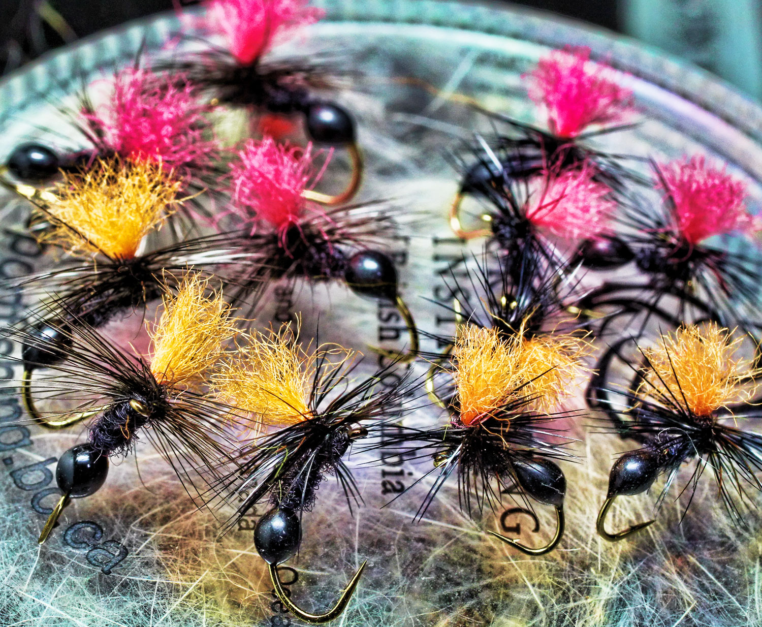 flies
