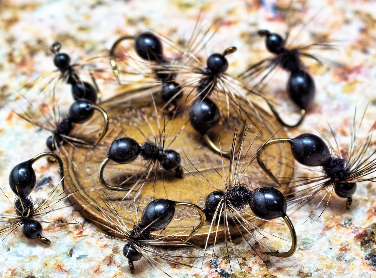 flies