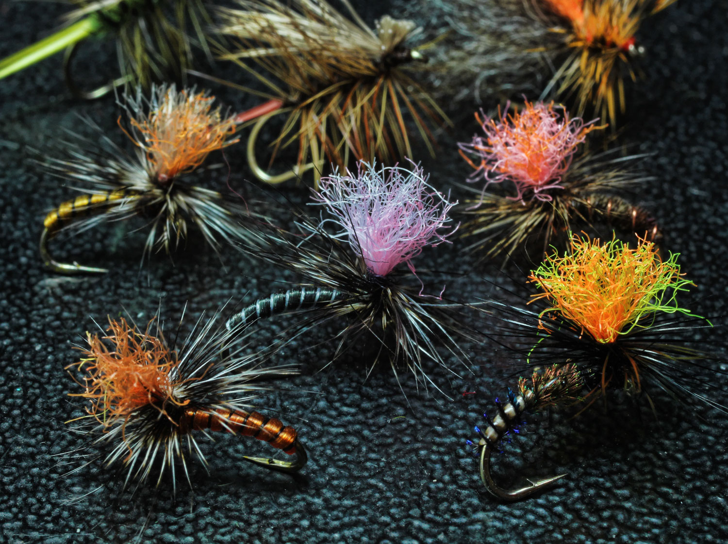 flies