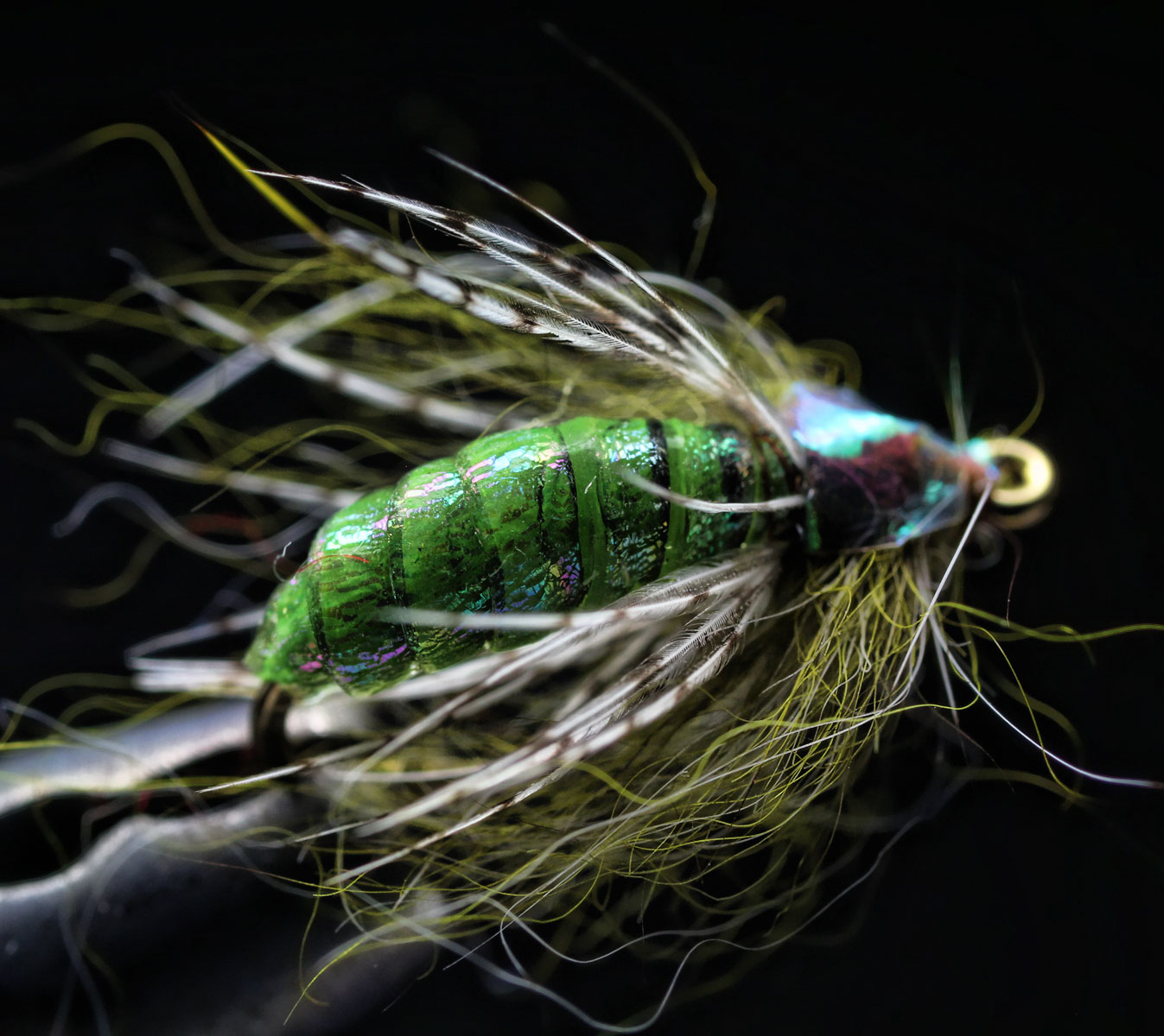 flies
