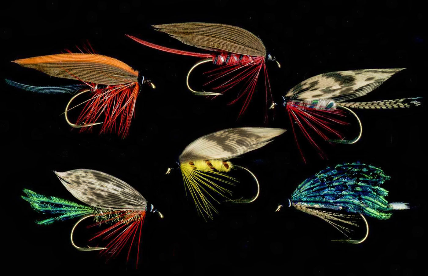 flies