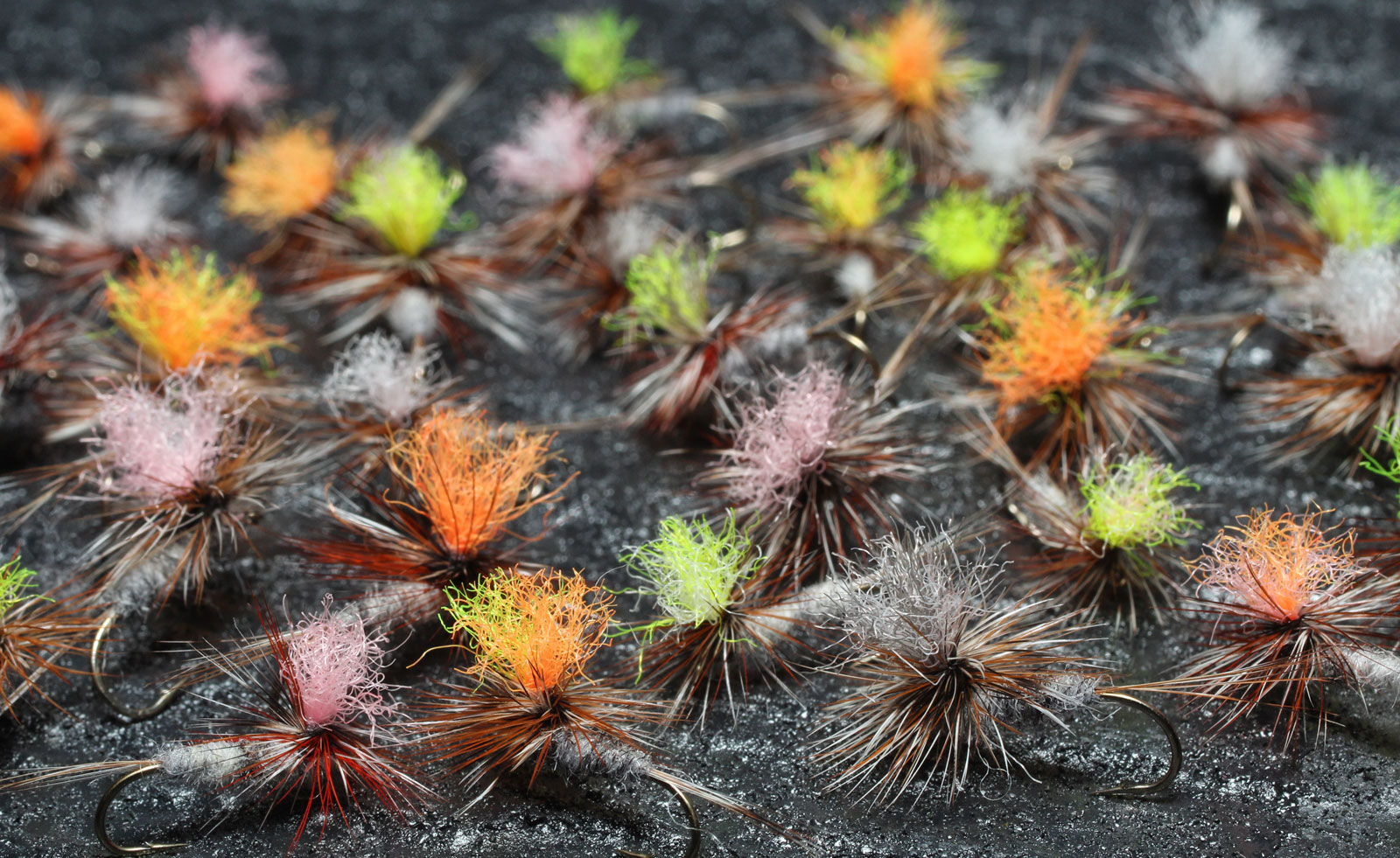flies