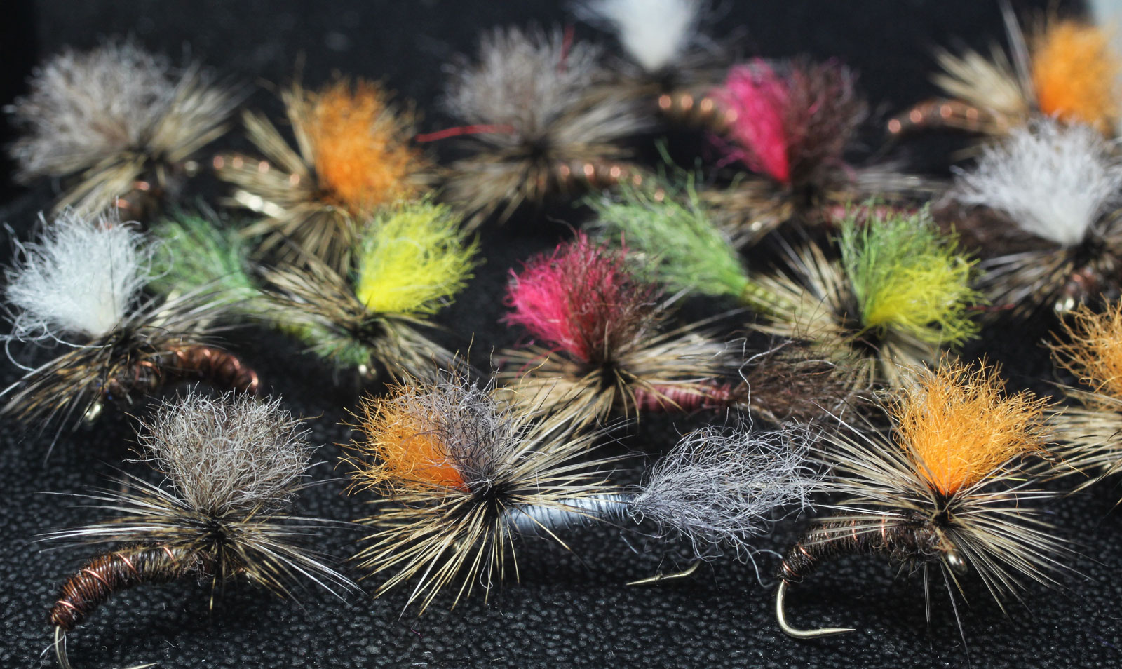 flies
